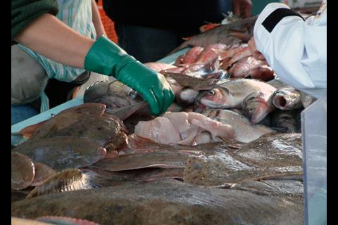 Europe will need to find commercial markets for all those species that are currently being discarded at sea